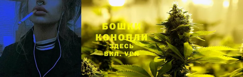 цена   Семикаракорск  Бошки Шишки White Widow 